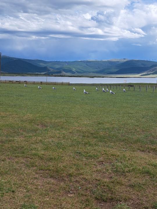 Davaanym Bvrentogtoh