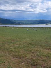 Davaanym Bvrentogtoh