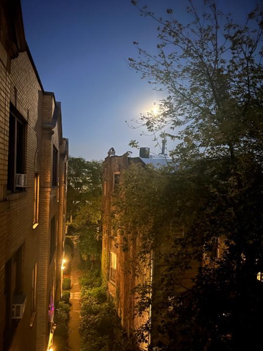 Sensitive Soul Central