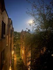 Sensitive Soul Central