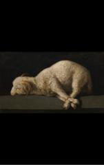 Katie Adrigan-Hondros