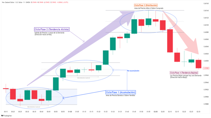 🔄 Los 4 Ciclos del Mercado: Cómo se mueve el precio realmente💡
