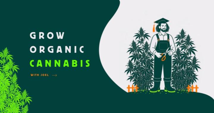 Organic cultivation beginners