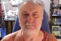 Michel Dozois