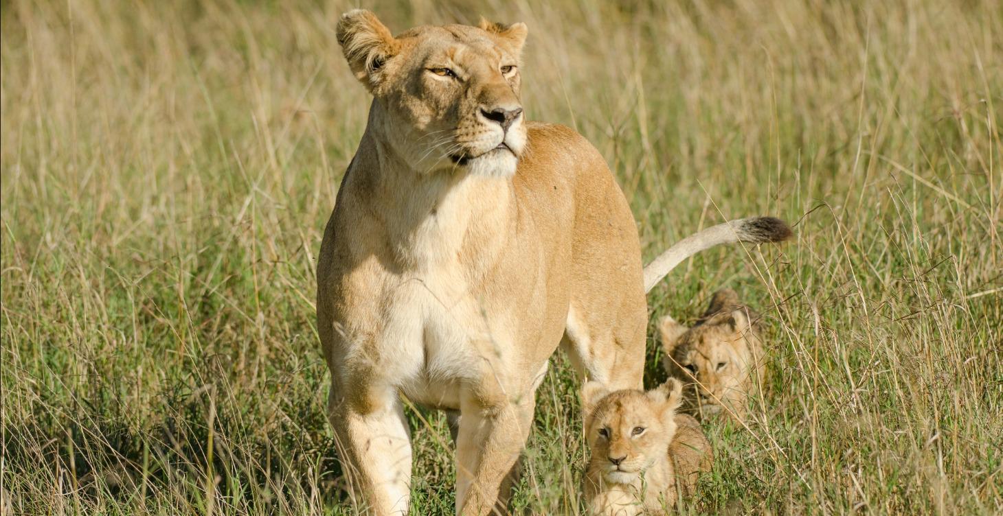 Mother-Daughter Relationships