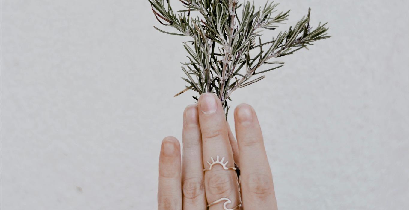 Wheel of the Year Festivals