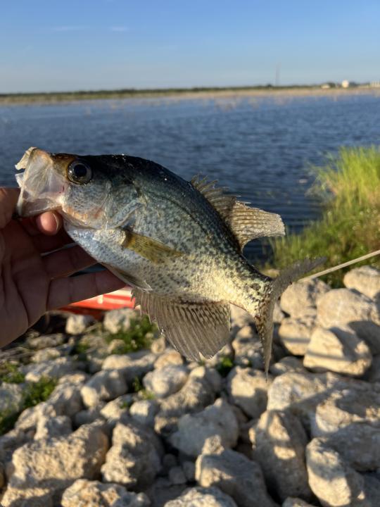 E-bike fishing 