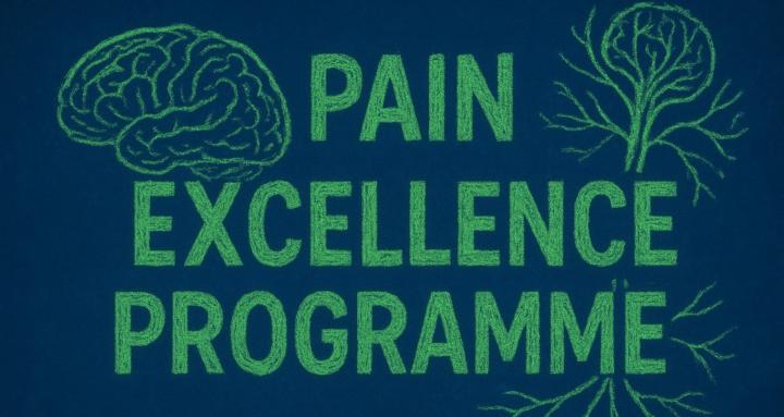 Pain excellence programme