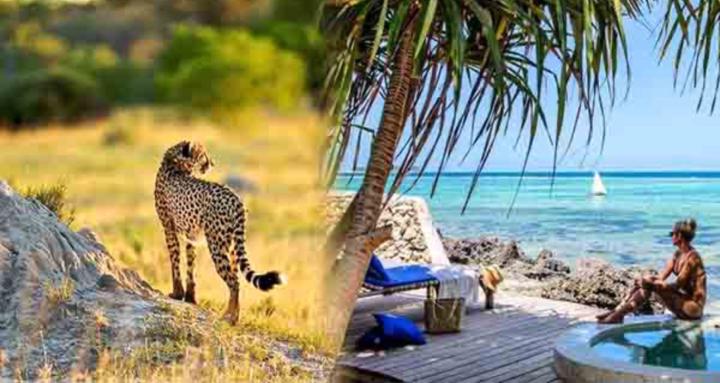 Travel Swahili Bootcamp