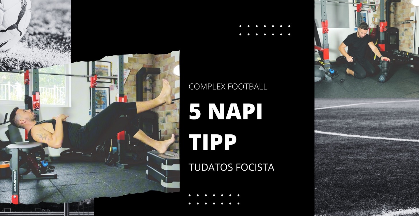5 NAPI TIPP
