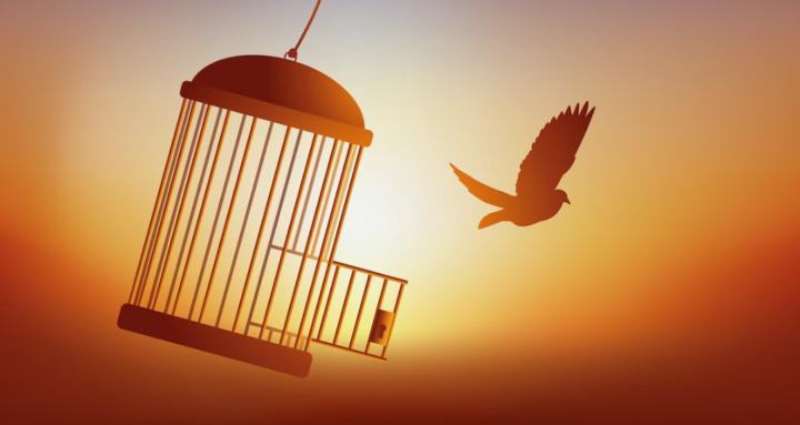 Creative Income Freedom