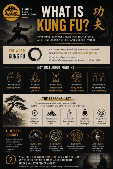 What Is Kung Fu?