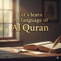 Mohammed Islam