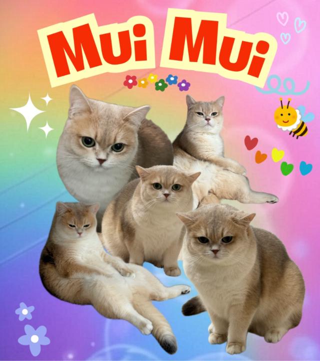 Li Fun