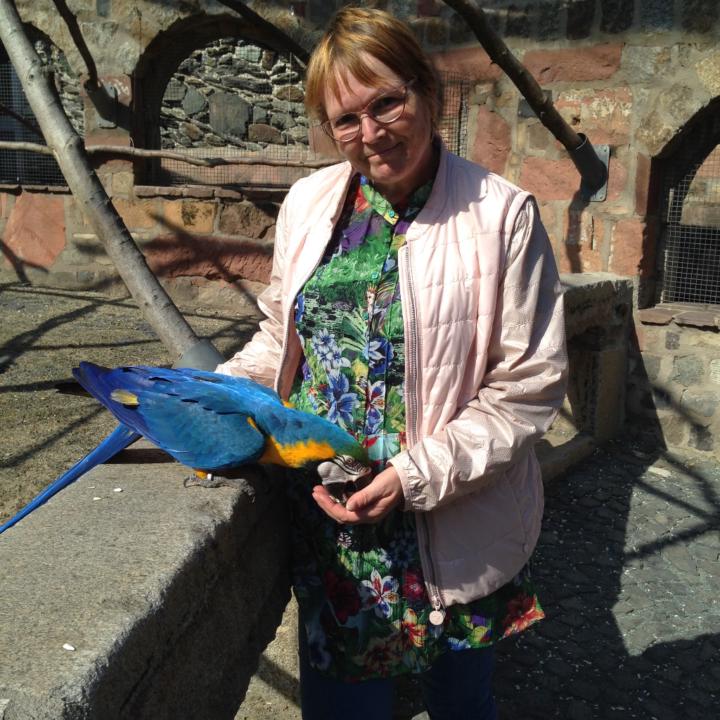 Ilka Engelhardt
