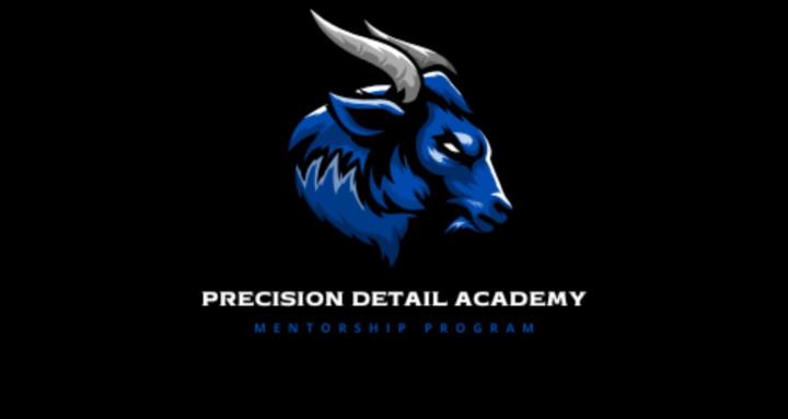 Precision Detail Academy