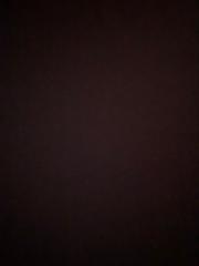 Sebastian Dzierzanowski