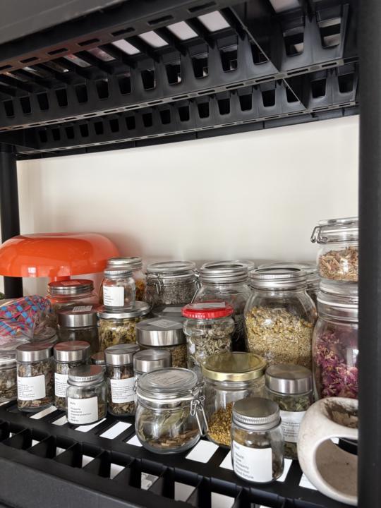 Building your herbal apothecary 
