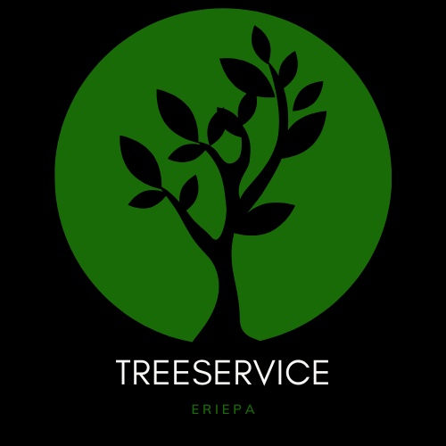 Tree Service Erie Pa