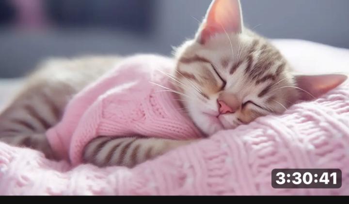 Tatiana Morozova vorobieva