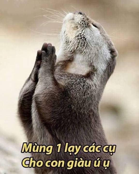 Đoàn Hà