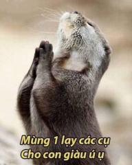 Đoàn Hà