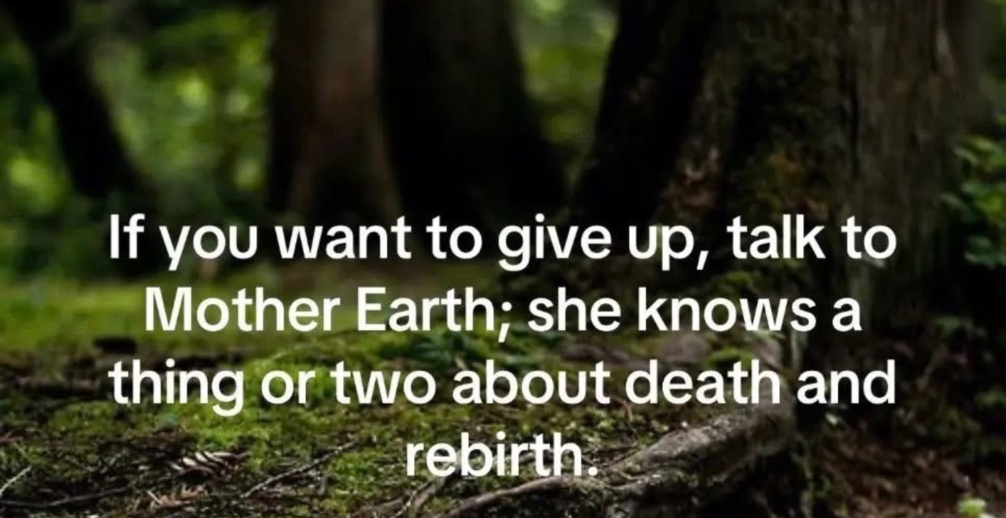 Introductory Course for Fae of the Garden