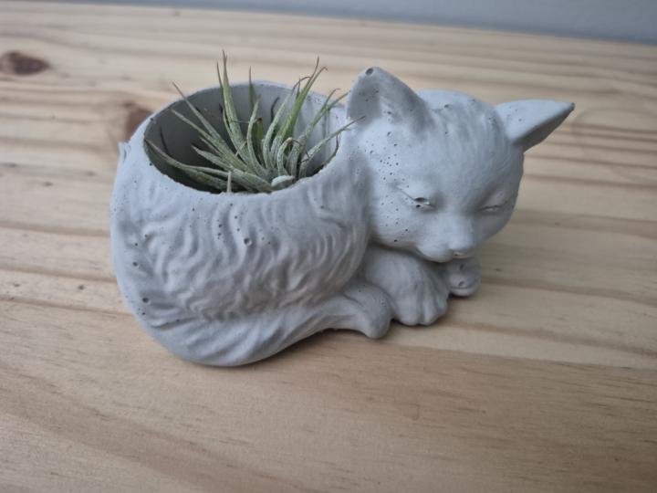 🌞 Saturday Check-In