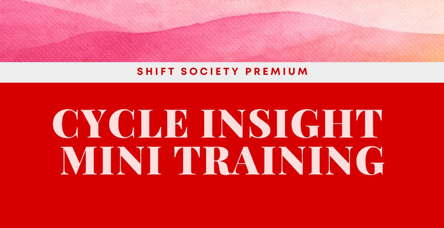Mini Cycle Insight Training & Guide