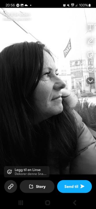 Marianne Hole