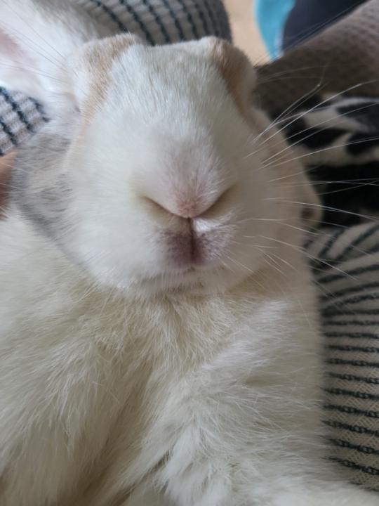 Catalina Sánchez García-Vao