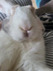 Catalina Sánchez García-Vao