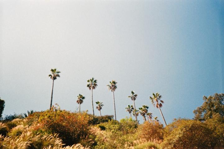 Bob Zhou