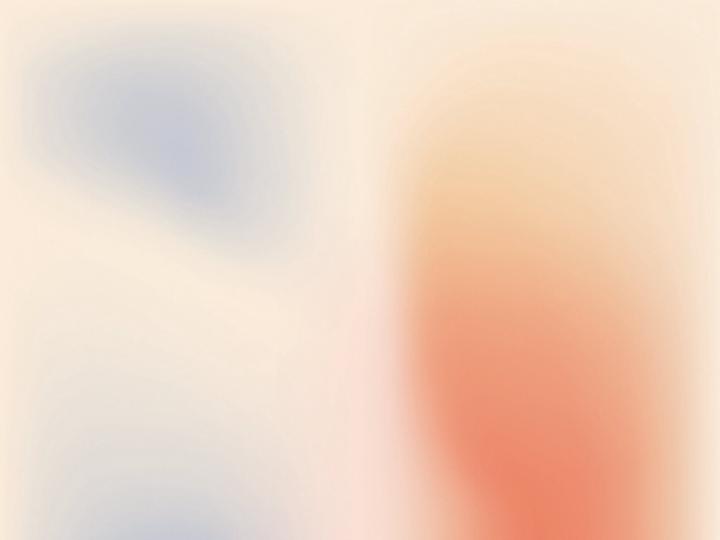 Viridiana Villarreal