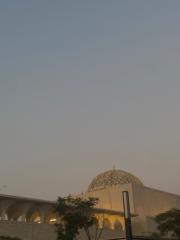 Dalia Hab