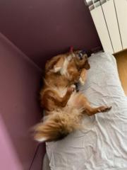 Axel Gonzalez Alaman