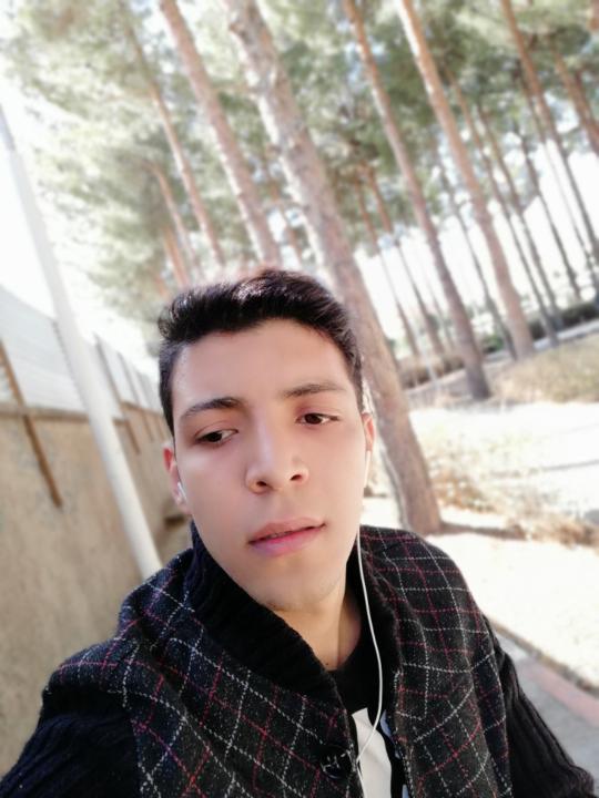 Amir Ehsani
