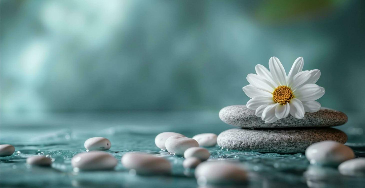 Quran: The Healer of the Hearts