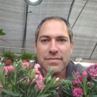 Dror Simon
