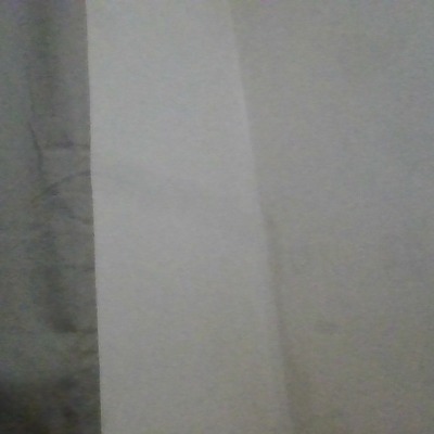 Mustaneer Mannan