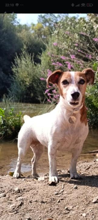 Jorge Navarlaz Jiménez