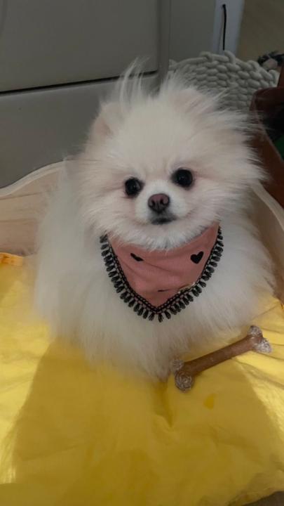 Winnie Wong