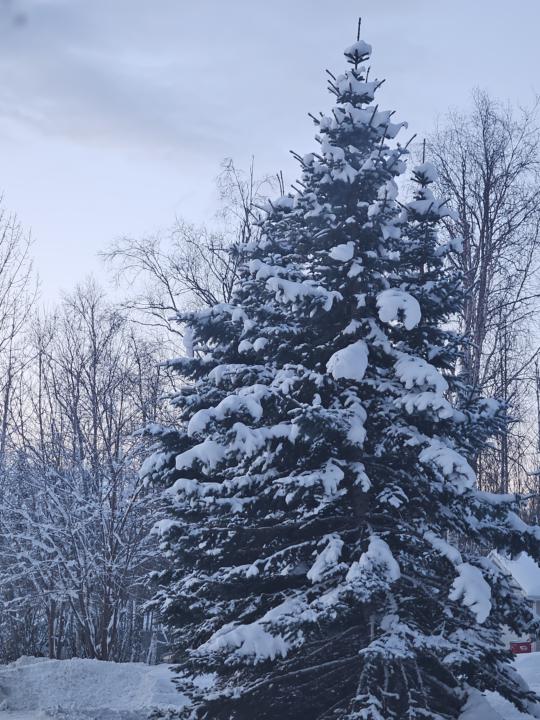 Share something beautiful 