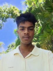 Sahidul Choudhury