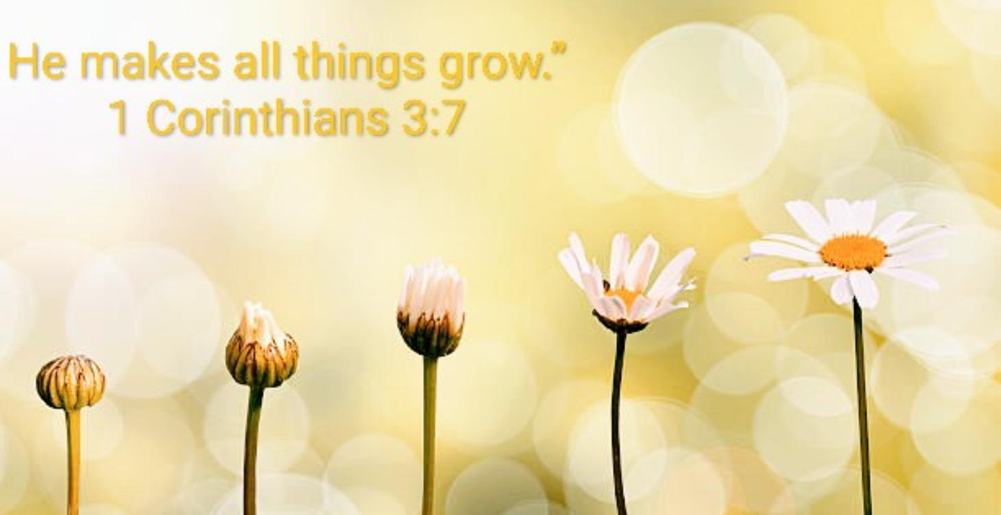 Beginning: Faith, Health, and Healing