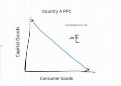 Cameron Dewar McCullough