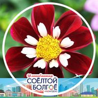 Sergelen Erdenebayar