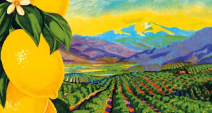 Homecooked Indian Food