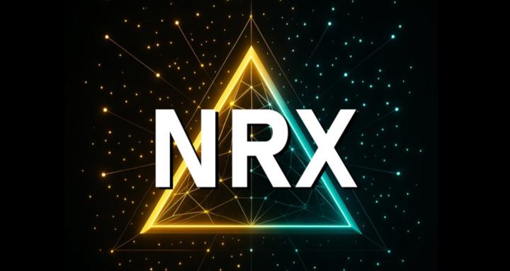 The New Rich Network