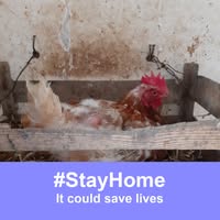 Gabriela Maria Ribeiro